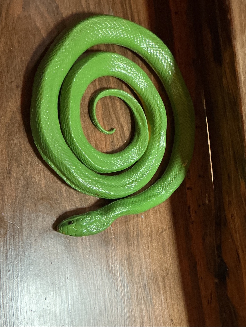 Green Reptile toy snake